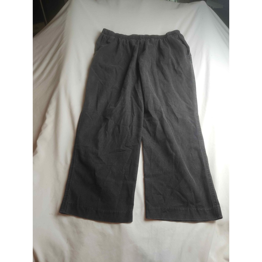 Alfred Dunner Woman Plus 20W Gray Denim Elastic Waist Pull On Pants Straight Leg